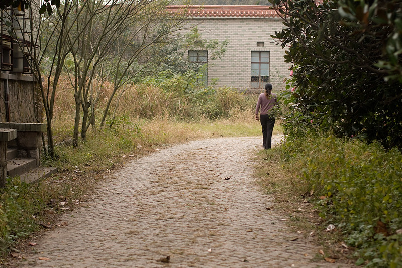 The Power of Walking