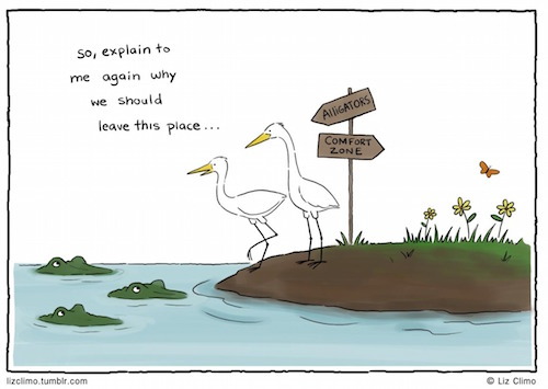 Comfort Zones and Safety Zones