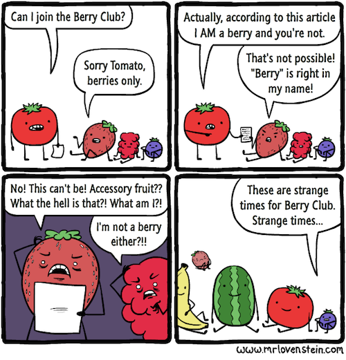 Vegetable, Fruit, Berry